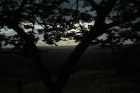  2007-12-10 19.02.37.JPG 